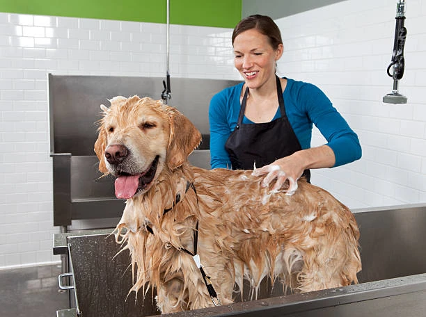 Banho para cachorro de grande porte
