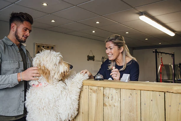 Creche para pet em Curitiba