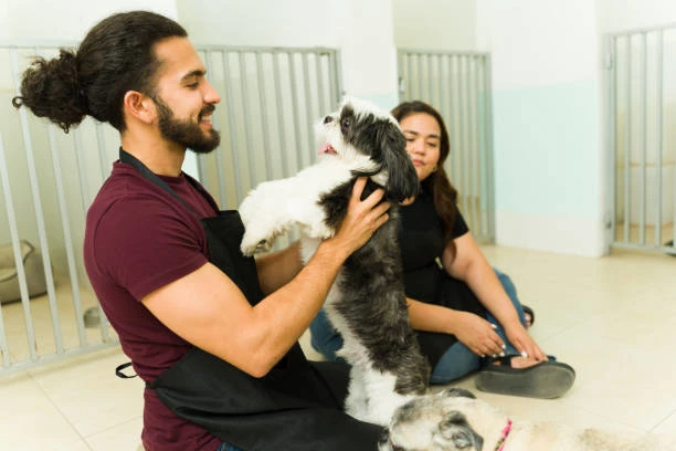 Hospedagem para pet em Curitiba