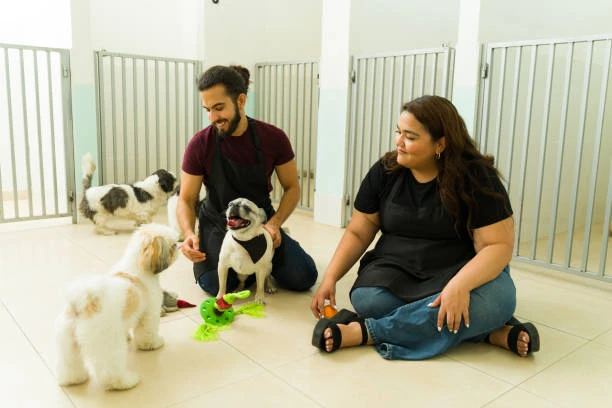 Hotel para cachorro no Ahú