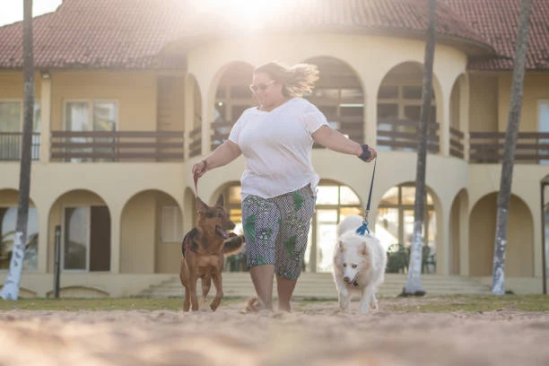 Hotelzinho para cachorros em Curitiba