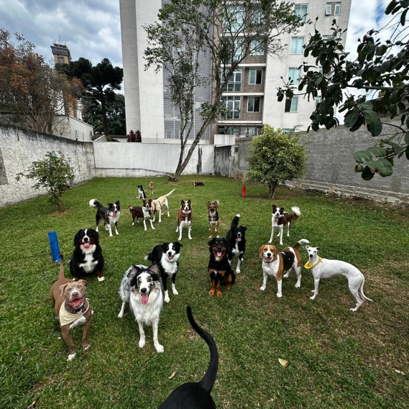 Imagens Creche Imagens Creche