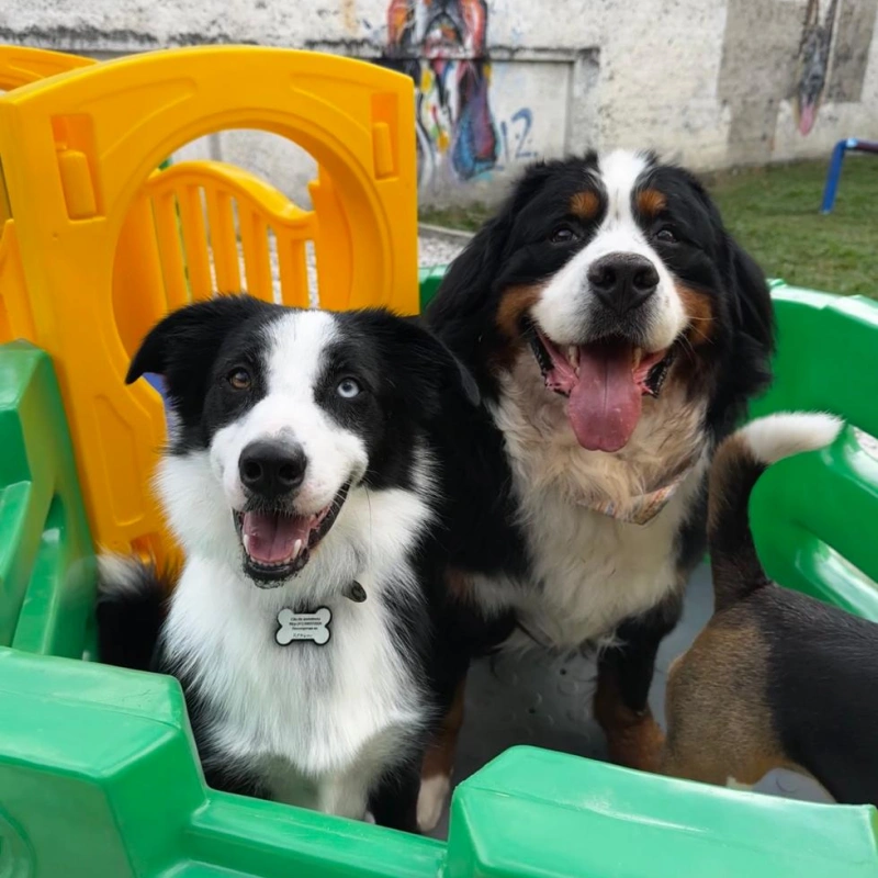 Imagens Creche Imagens Creche