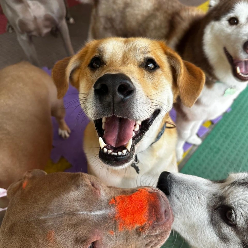 Imagens Creche Imagens Creche