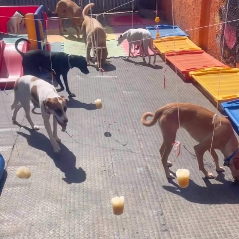 Imagens Creche Imagens Creche
